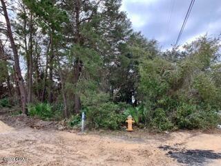 Inlet Beach Heights - Land