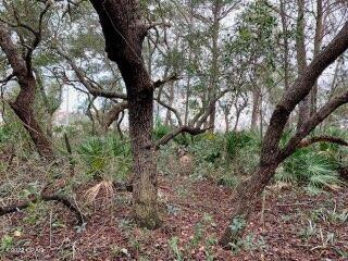Inlet Beach Heights - Land