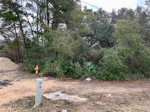 Inlet Beach Heights - Land