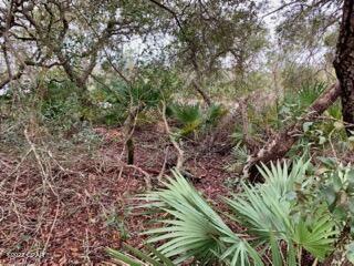 Inlet Beach Heights - Land