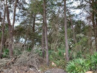 Inlet Beach Heights - Land