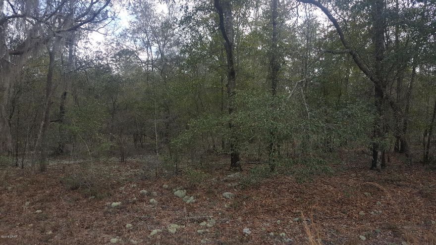Price Reduced! Nice wooded lot in Sunny Hills. Not far from the main entrance and Hwy 77. Restricted to homes only, no mobiles allowed. Close to several fishing spots in the area. Deed restrictions.