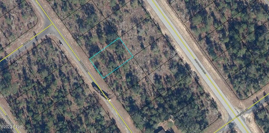 Great building lot in the up and coming Sunny Hills subdivision. This lot is just off Shenandoah Blvd (southernmost entrance to the community) and very close to HWY 77. Sunny Hills is located 25 miles north of Panama City and 18 miles south of Chipley and is a deed restricted community (no mobile homes). With the growth moving north out of Panama City and the current 4 laning of HWY 77 this area is poised for new growth. The Sunny Hills community features a popular and affordable 18 hole public golf course and many fine fishing lakes. Buyer to pay title insurance, closing fee, and doc stamps on the deed.