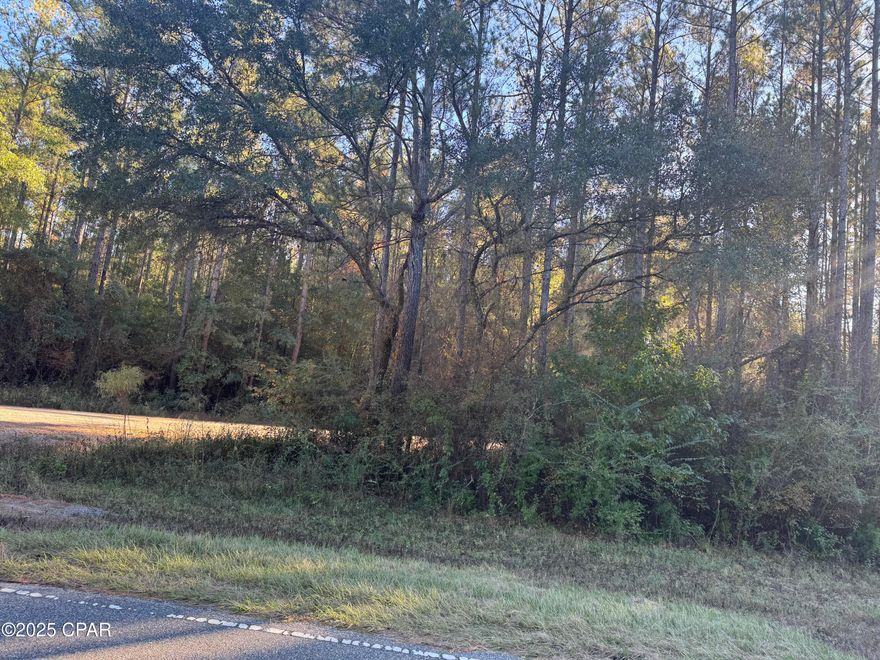 Currently under contract ,buyer will look at all back up offers Great 13 acres of beautiful wooded timber land ( that could be harvested/sold ) its located on County Road 160 , paved road frontage. Small portion of land is separated by a county-maintained dirt road on one side. This land is great for hunting or to build your dream home on. Best of both worlds with this property being in Florida ,but your minutes away from Alabama and Georgia . If you love the idea of country living or just want a peaceful place to come to enjoy nature ,this is for you. Seen several deer and other wildlife when taking pictures . Call today and get more details.