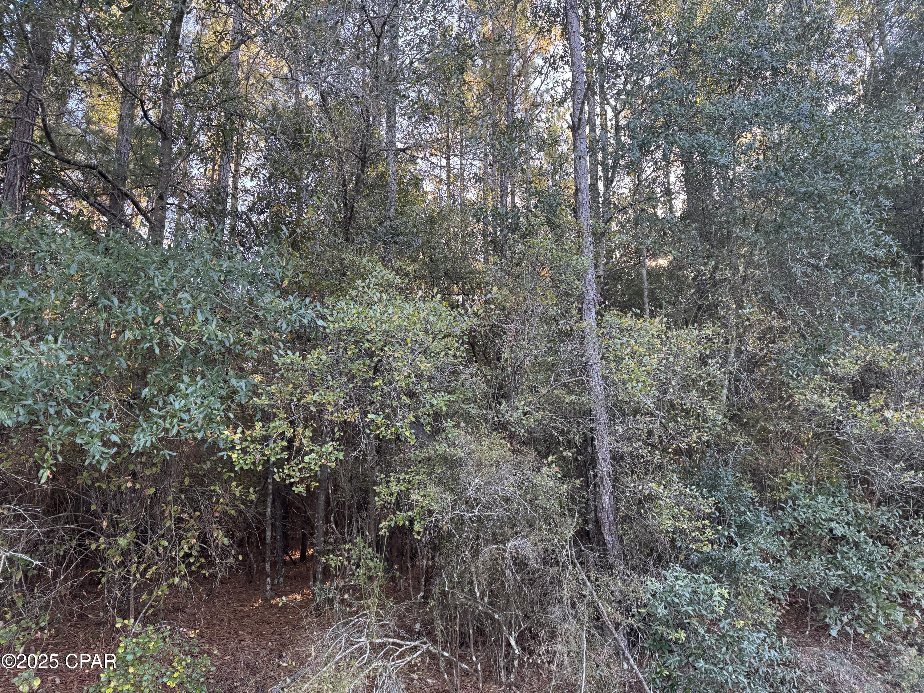 [No Recorded Subdiv] - Land