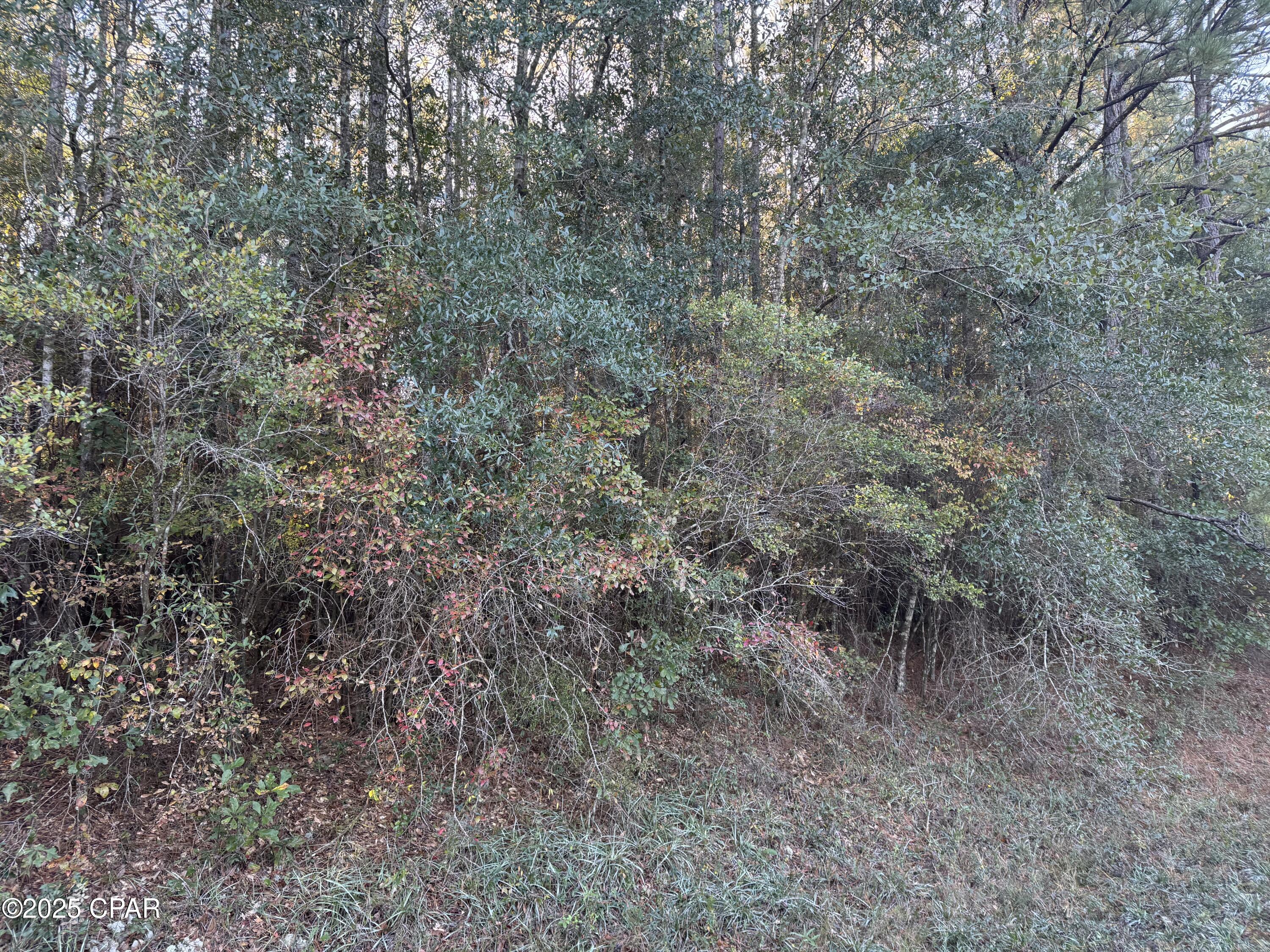 [No Recorded Subdiv] - Land