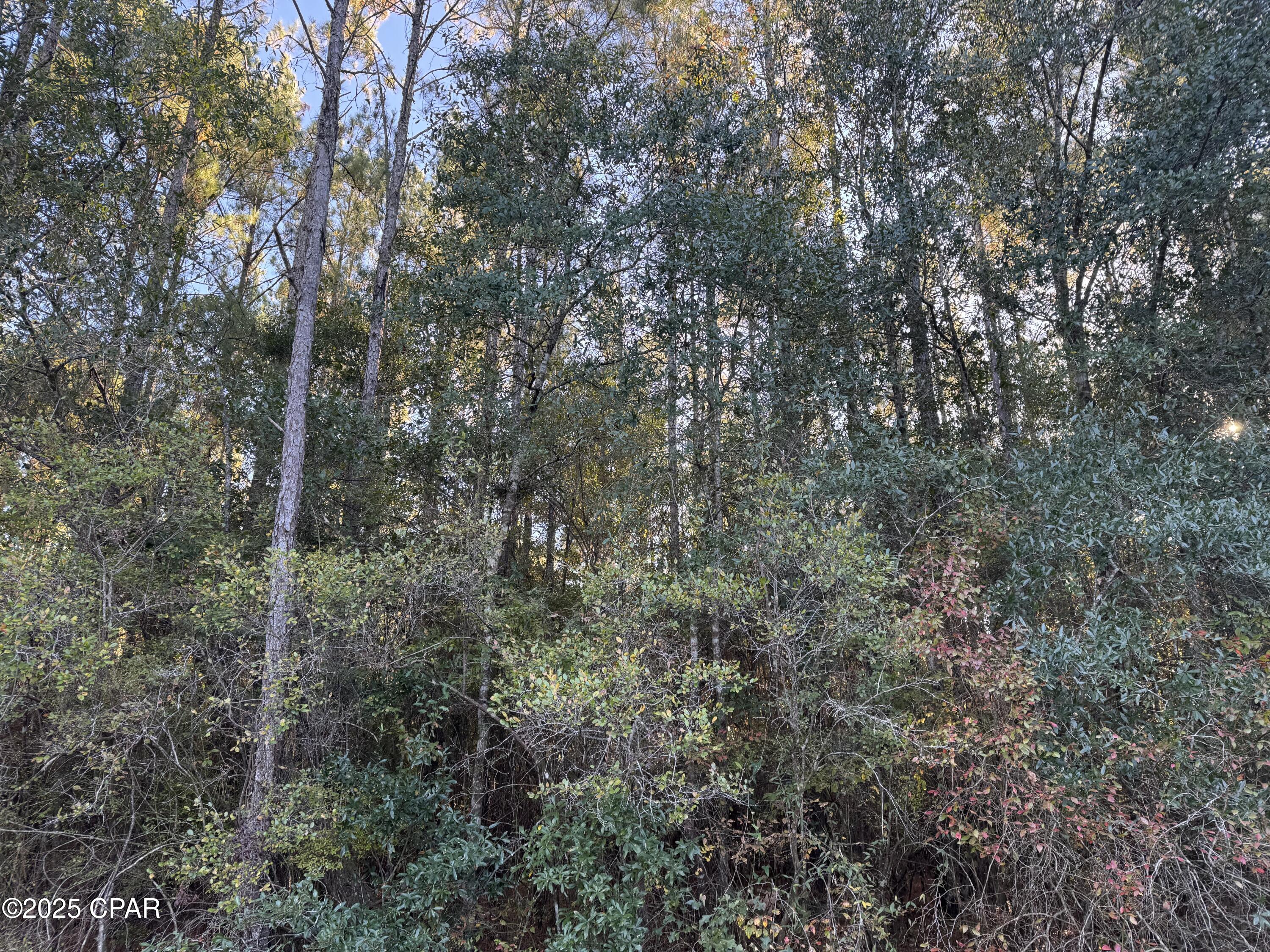 [No Recorded Subdiv] - Land