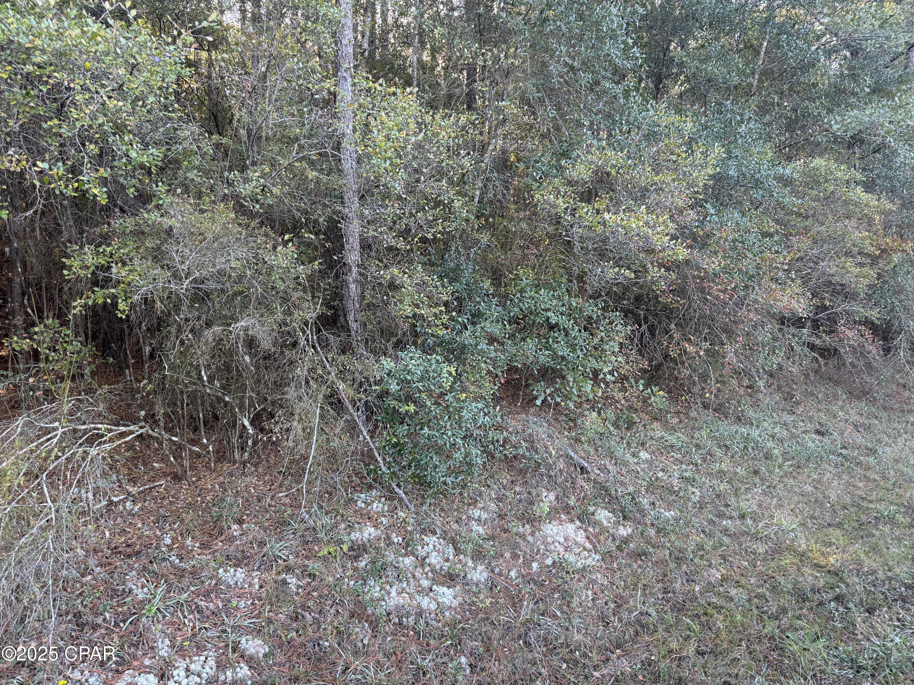 [No Recorded Subdiv] - Land