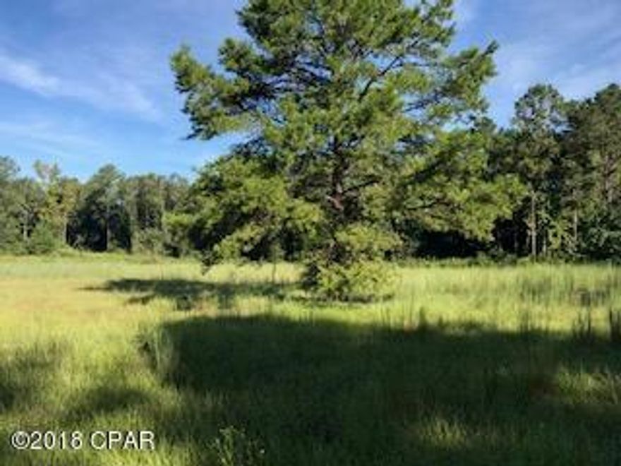 A RARE FIND!!! This 3 acre beautiful mostly cleared parcel offers a well, septic and a power pole. Build your dream home or place your mobile home in the spot of your choice. It previously had an older mobile home on it that has been removed. A must see!!