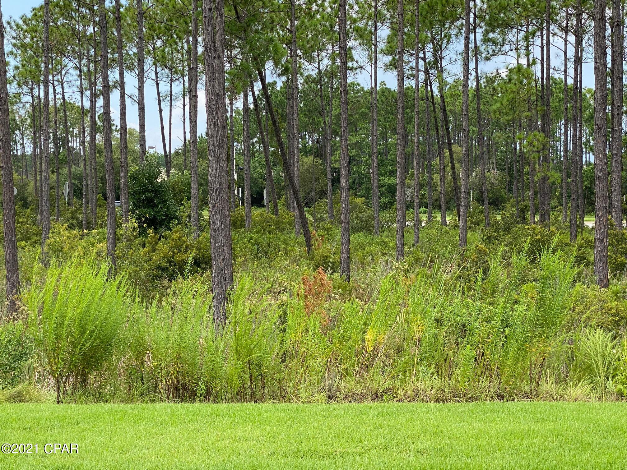 Breakfast Point - Residential