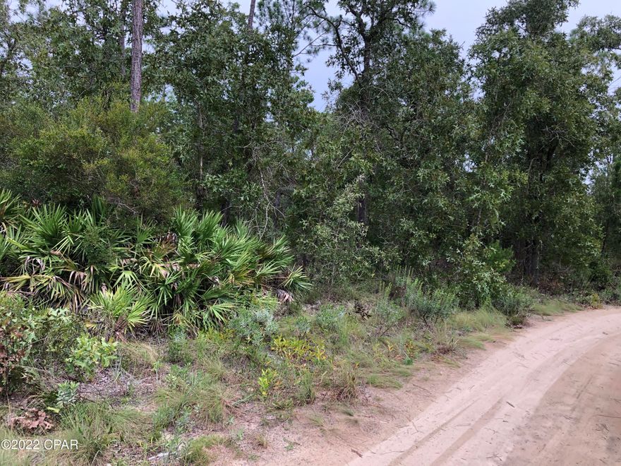Beautiful Sand Hills Property. Lots of Pines and Scrub Oaks. High and Dry. Very convenient to deane Bozeman School. 15 min to town and 30 minutes to the beaches