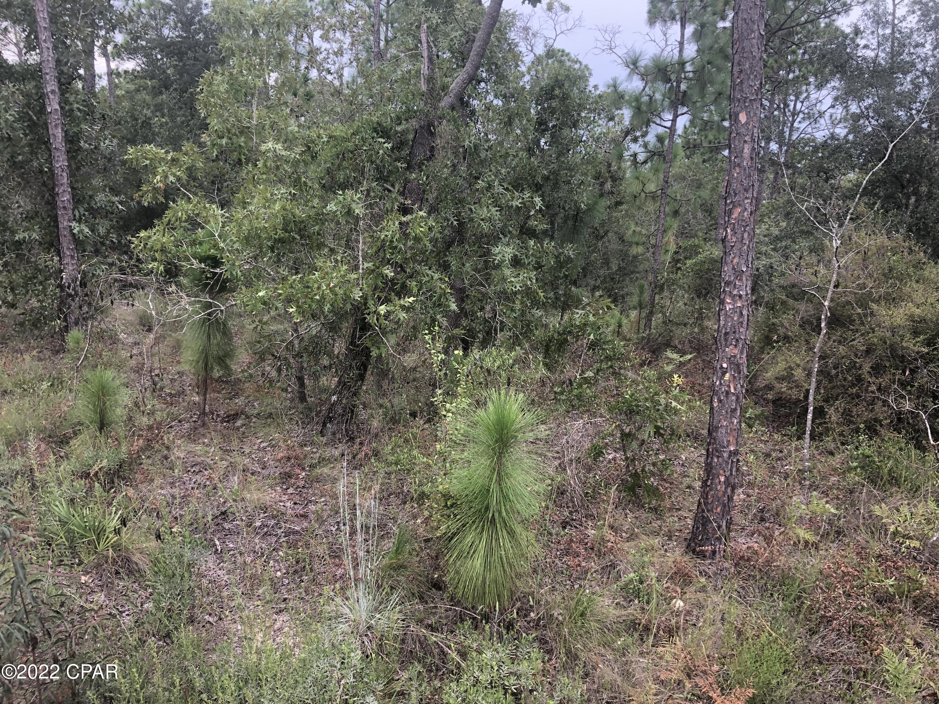 [No Recorded Subdiv] - Land