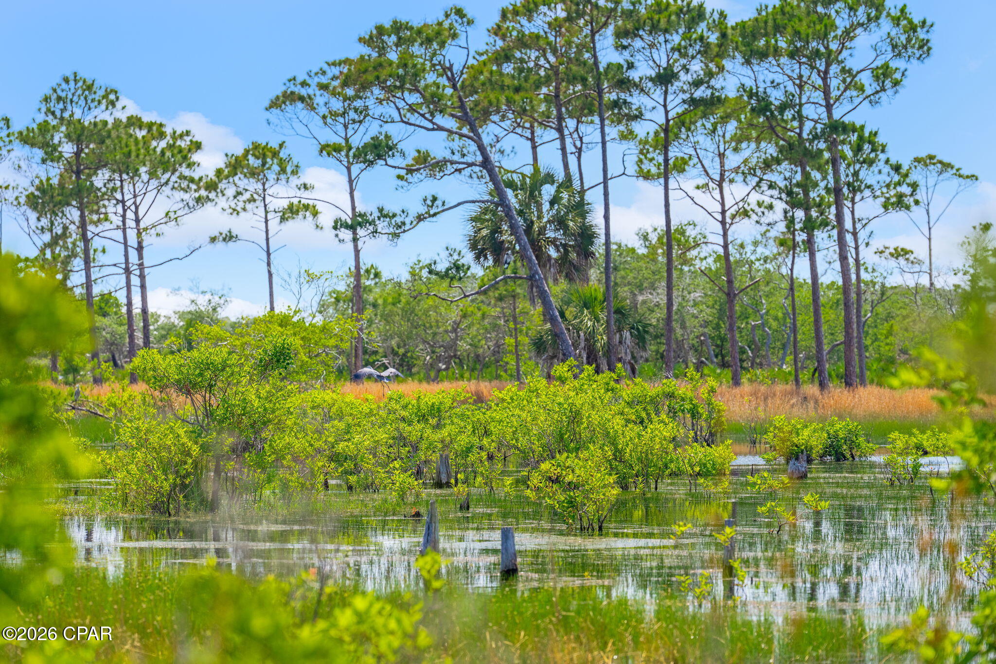 Holiday Beach Unit 15 - Land