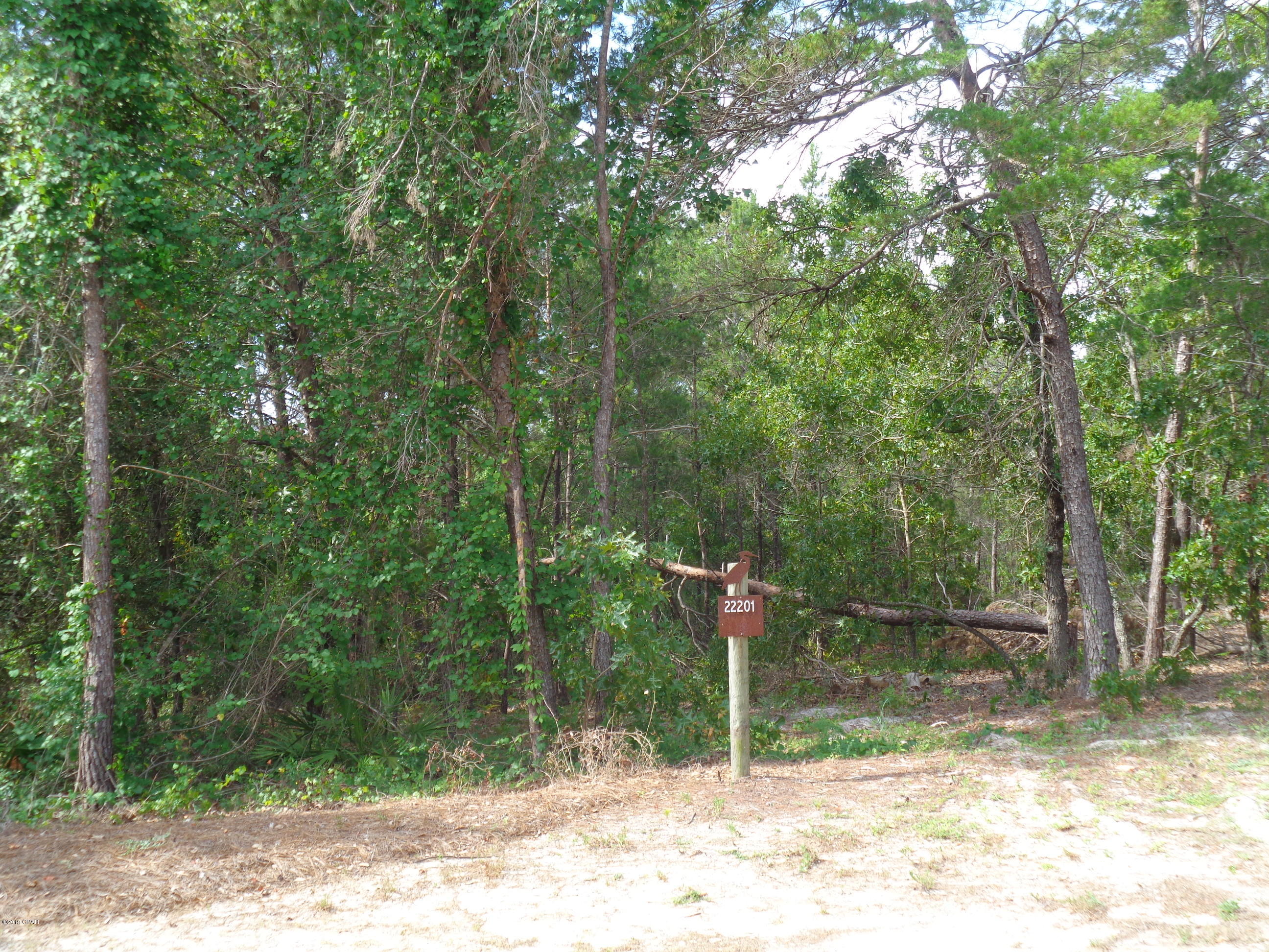 Wild Heron Phase I - Land