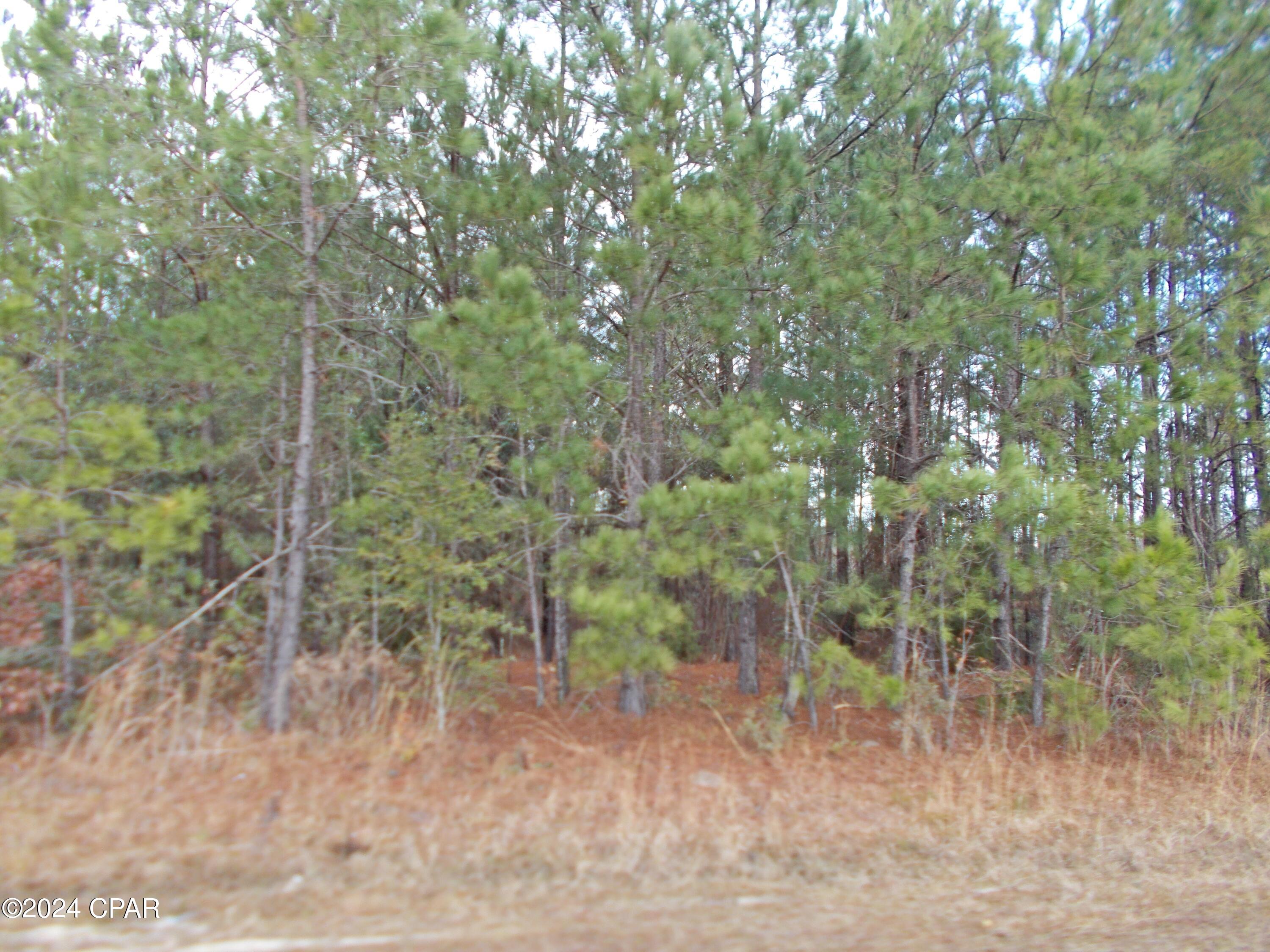 No Named Subdivision - Land