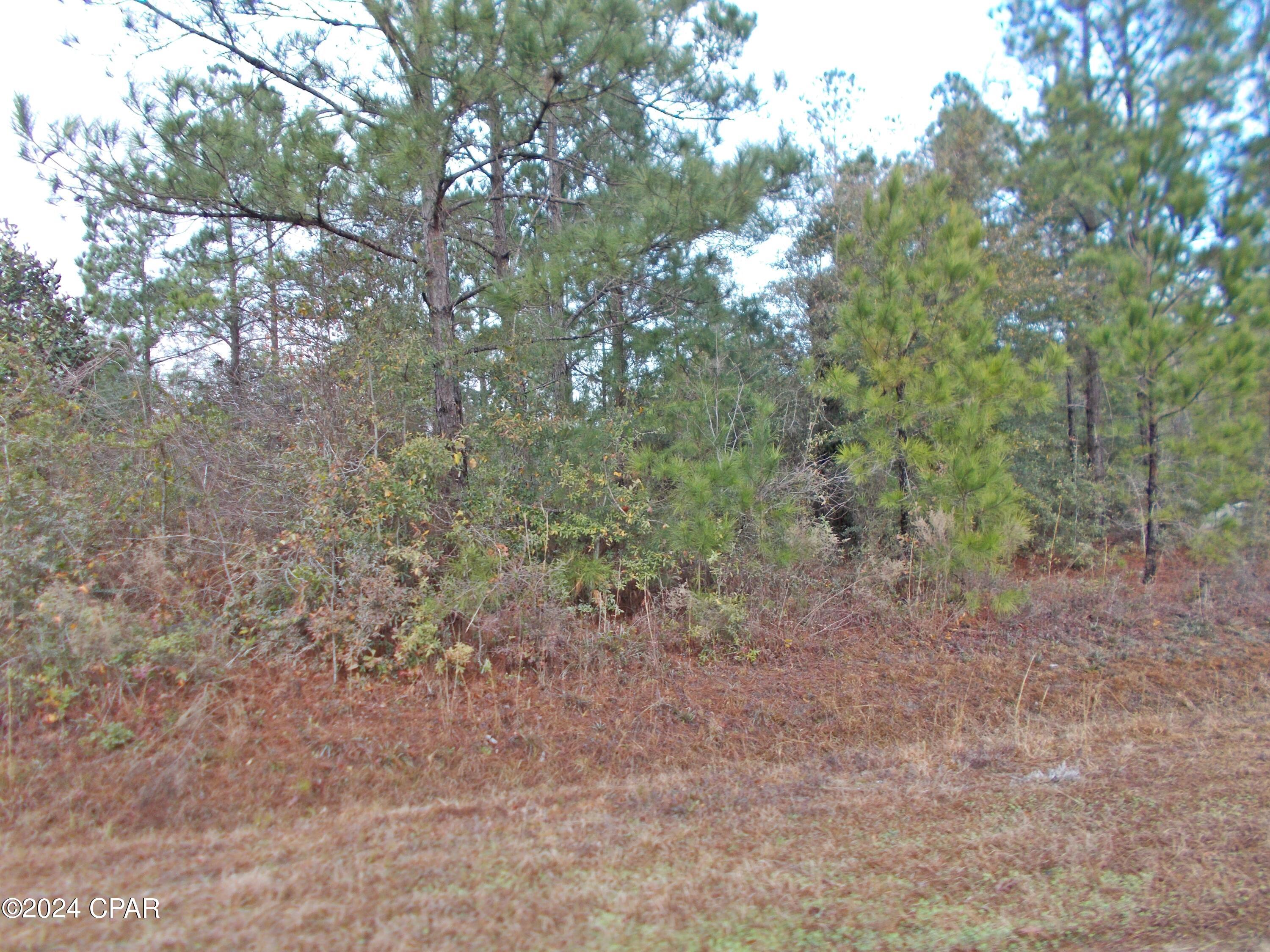 No Named Subdivision - Land