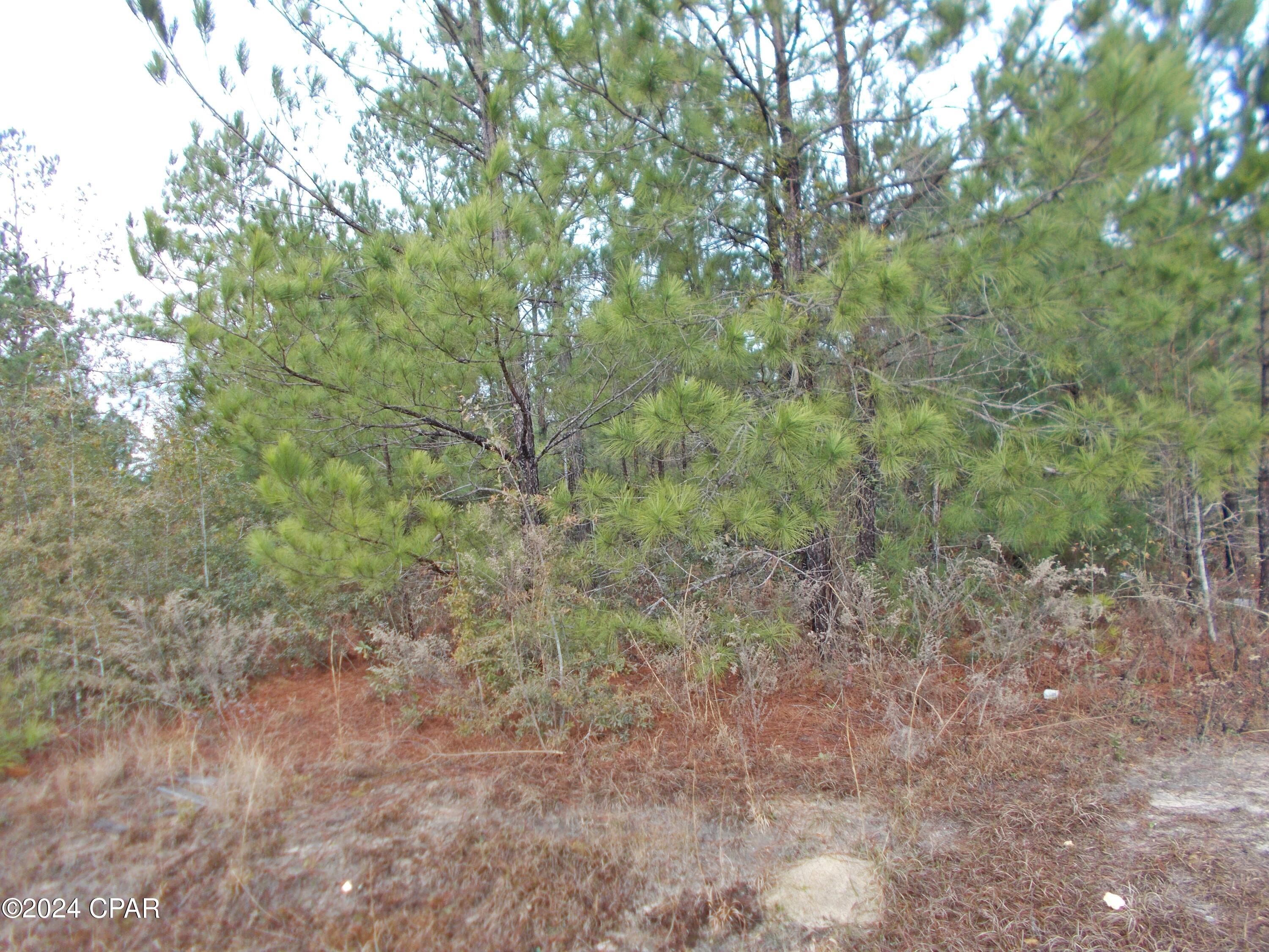 No Named Subdivision - Land