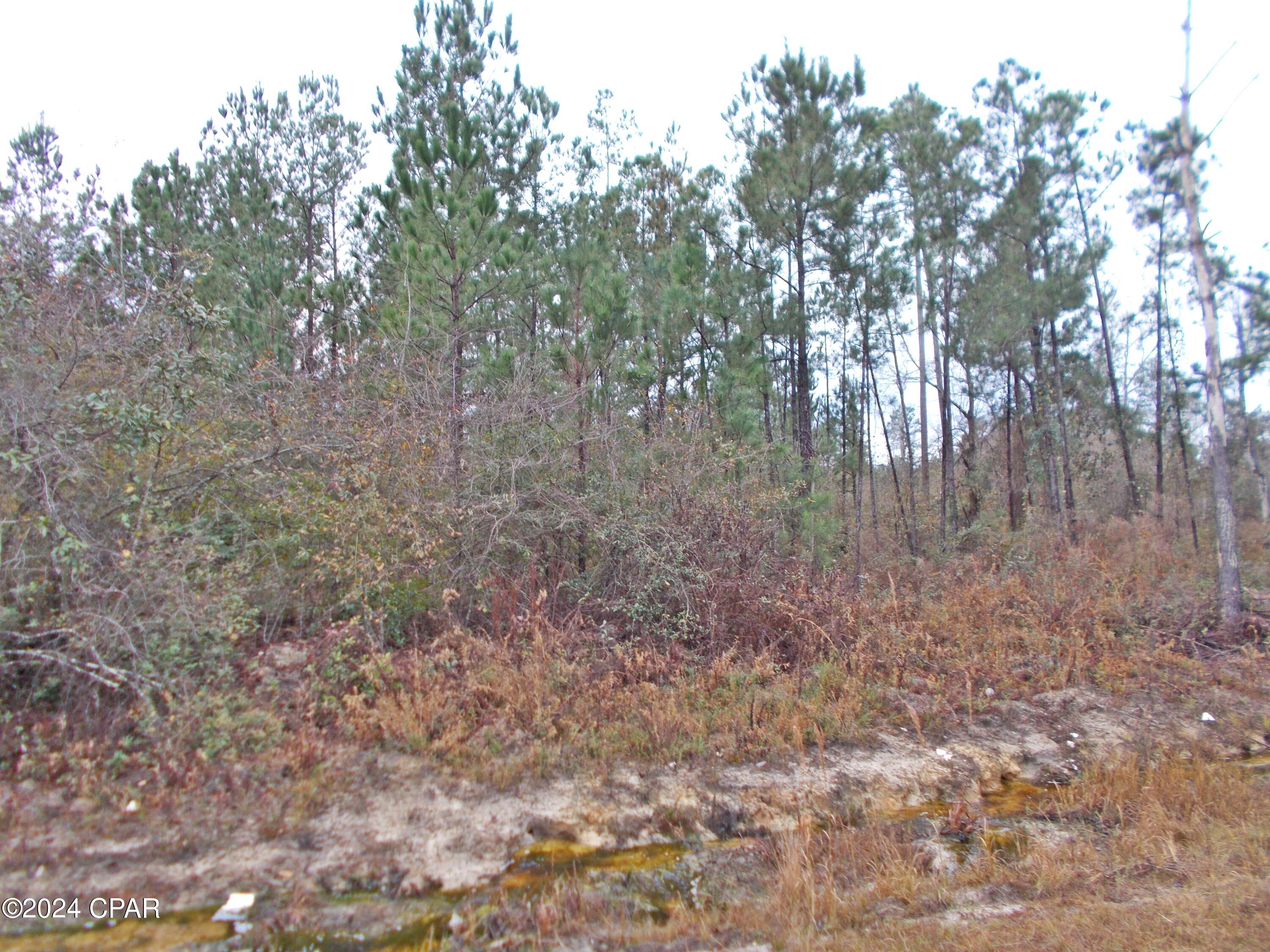 No Named Subdivision - Land