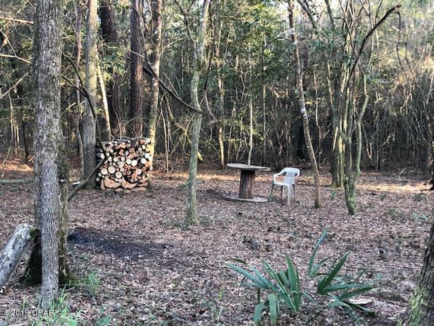 Do you like camping?  This beautiful lot is just down the street from the boat ramp on the Choctawhatchee  River.  It is just north of Caryville and has easy access to local amenities.

It has been cleared and surveyed.  You won't find a better piece of paradise hardly anywhere around.   It is an ideal recreational lot. Get ready for summer and fishing!!