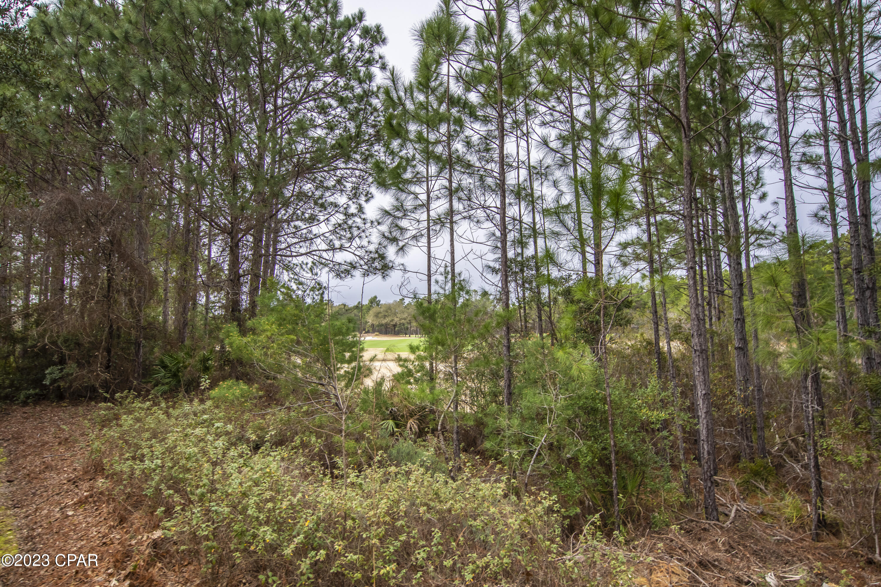 Wild Heron Phase VIII - Residential