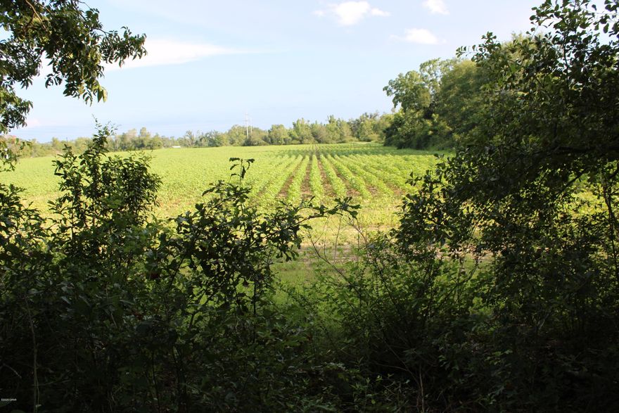 Beautiful, level residential acreage with large shade trees and some pasture in front portion.  This property has owner financing available if needed by the Buyer.