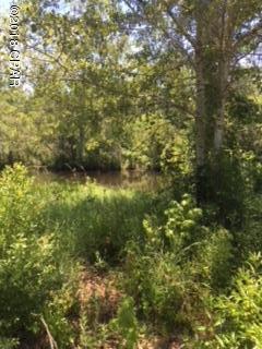 Magnolia Baye - Land