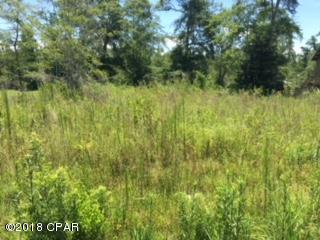 Magnolia Baye - Land