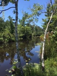 Magnolia Baye - Land