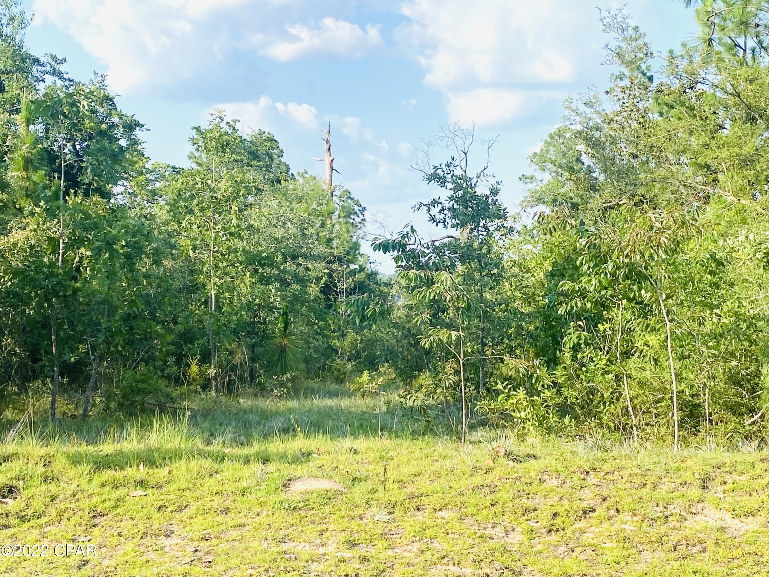 Silver Lake Estates - Land