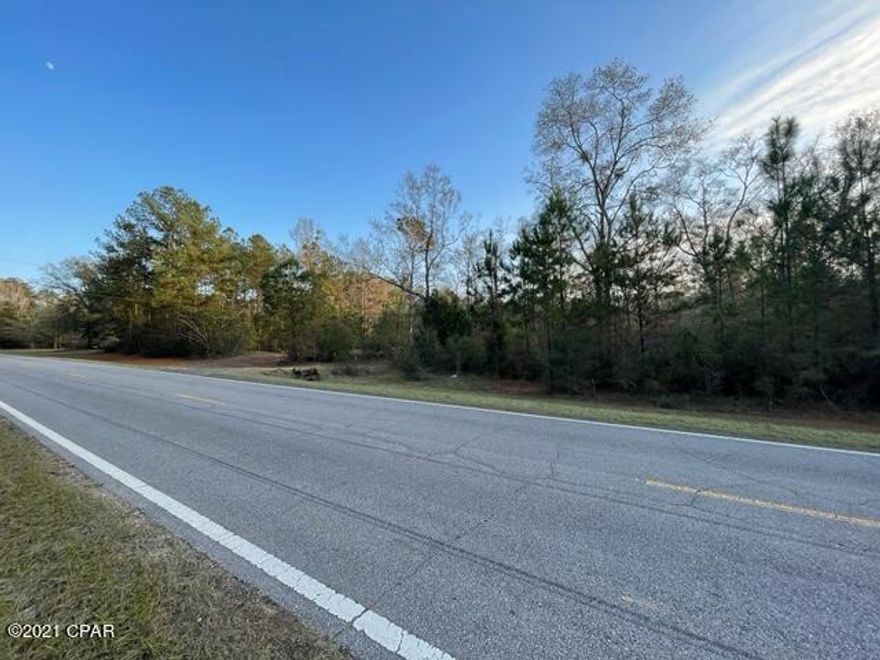 Perfect spot for your next home!  This large parcel already has a well, septic and electric in place.  Located on a paved road, this country acreage is only about 45 minutes from the World's Most Beautiful Beaches!!! There is an old mobile home on the property that is of no value that will need to be removed.