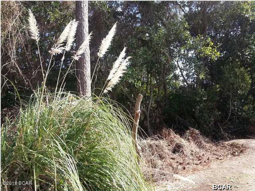 If you are looking for a secluded lot to build on, less than 3 blocks from the Gulf of Mexico, Look no further!!! K Kourt is conveniently located close to shopping, beaches and restaurants on a very quiet and private road. This could be a great opportunity to build the house of your dreams just a short walk to Panama City Beach. There is also a small walking area down to the Lake behind the adjacent property. Please see recent survey for any questions regarding the lot size and dimensions.