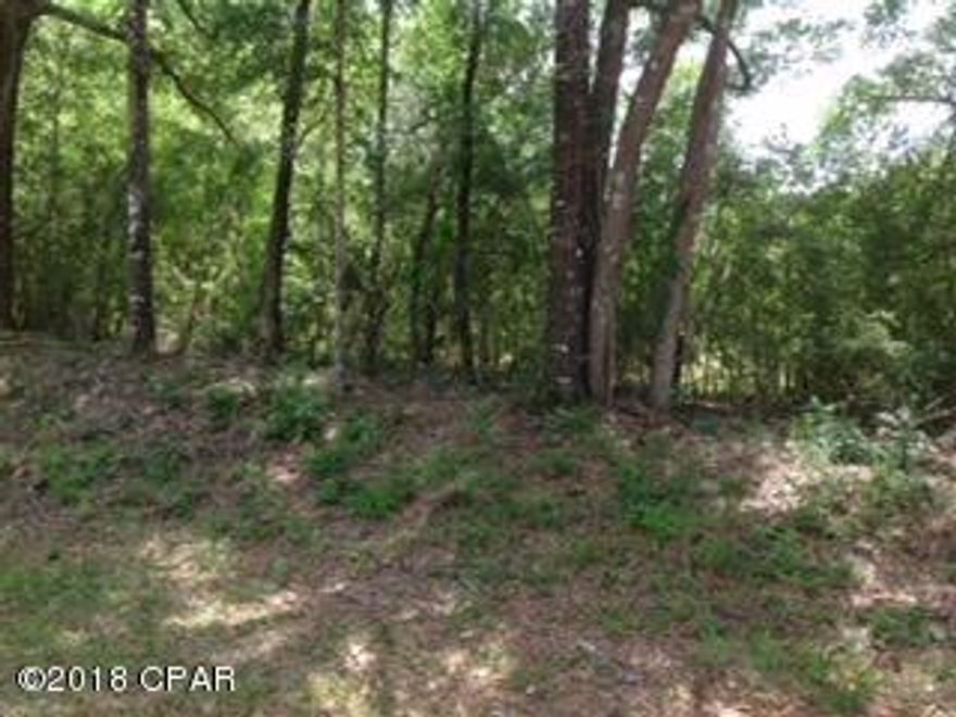 37.3 beautiful wooded acres perfect to build that dream home and less than 1/2 mile down Boat Ramp Road to the Choctawhatchee waterway just waiting for boating, fishing or a leisurely excursion to the Gulf and the worlds most beautiful Sugar Sands Beach of Panama City. Property Appraiser and owner states 29.30 acres dry with approximately 8 acres wet.

Some Timber.