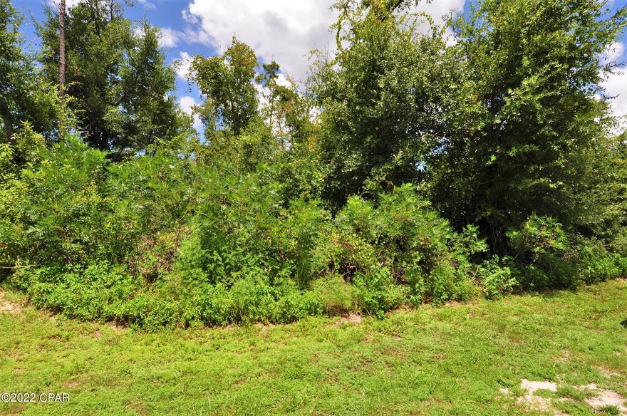 Half-acre lot in the Oakmont community near Deerpoint Lake.  In fact, the lot is only a block from the water and there is a public boat ramp a few blocks away!  No HOA fees, quiet, family-friendly community, but you're only 10-15 minutes from town.  Nothing is out of reach and this would be an ideal lot for building your dream home!   All info is approx and must be verified by Buyers if important.