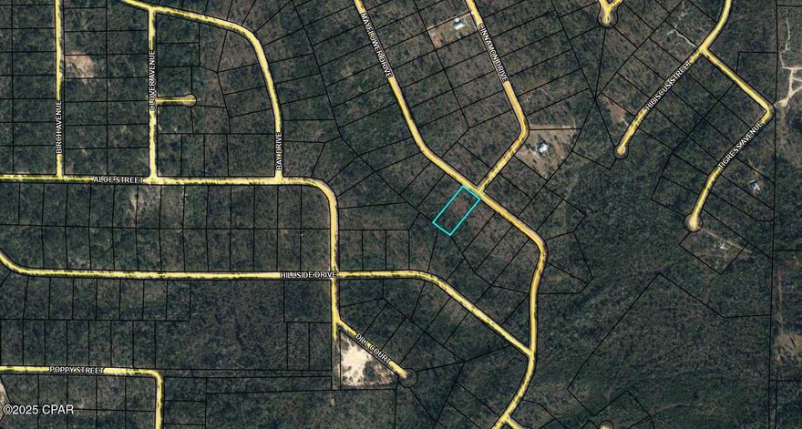 1+ acre wooded lot located at the end of a quiet T-intersection on Mayflower Drive in Compass Lake in the Hills. This buildable property features a gentle slope, power nearby, and maintained road access. Perfect for building, camping, or investing, with access to community amenities including lakes, parks, and outdoor recreation.