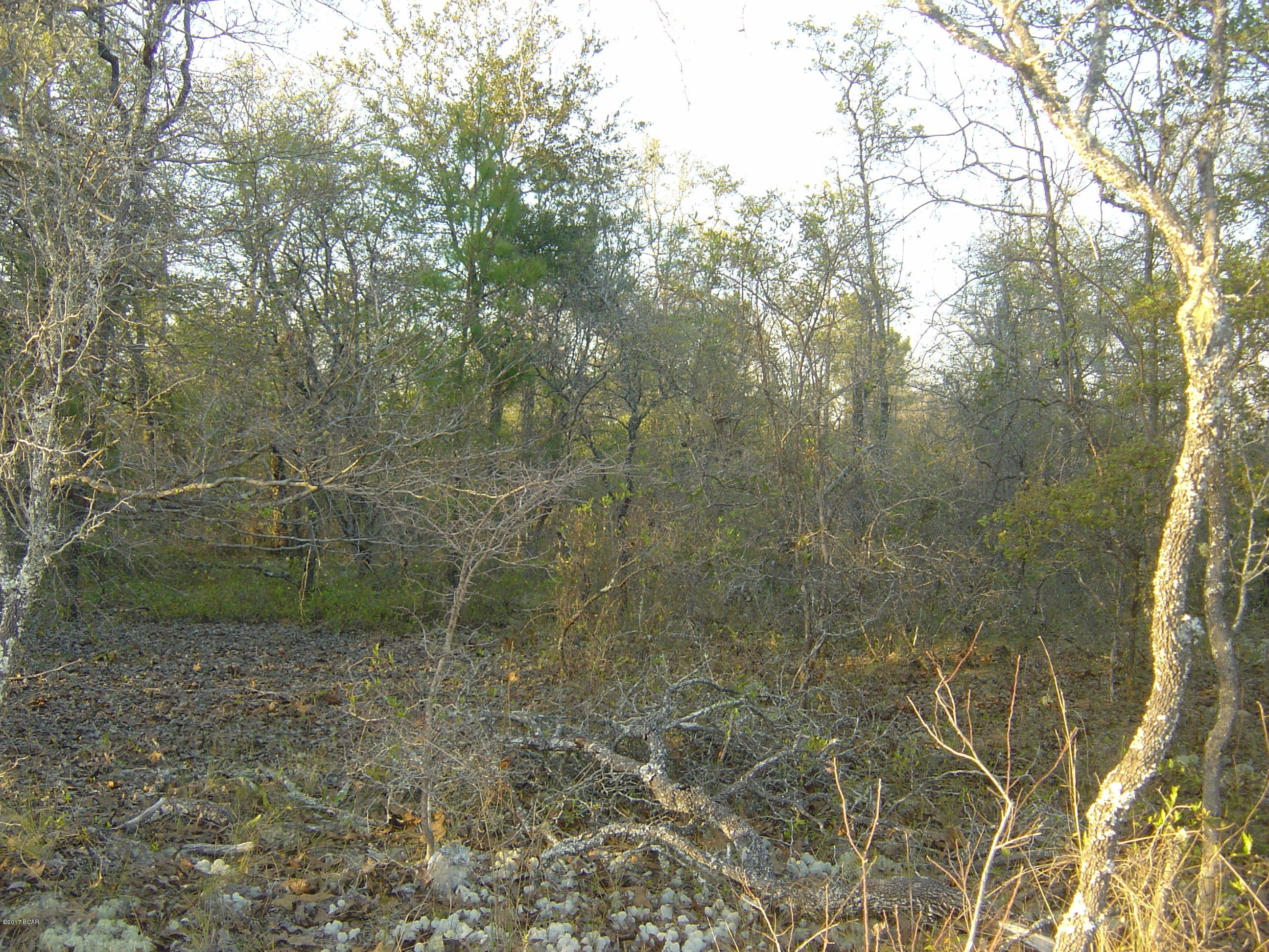 Compass Lake Hills Unit 5 - Land