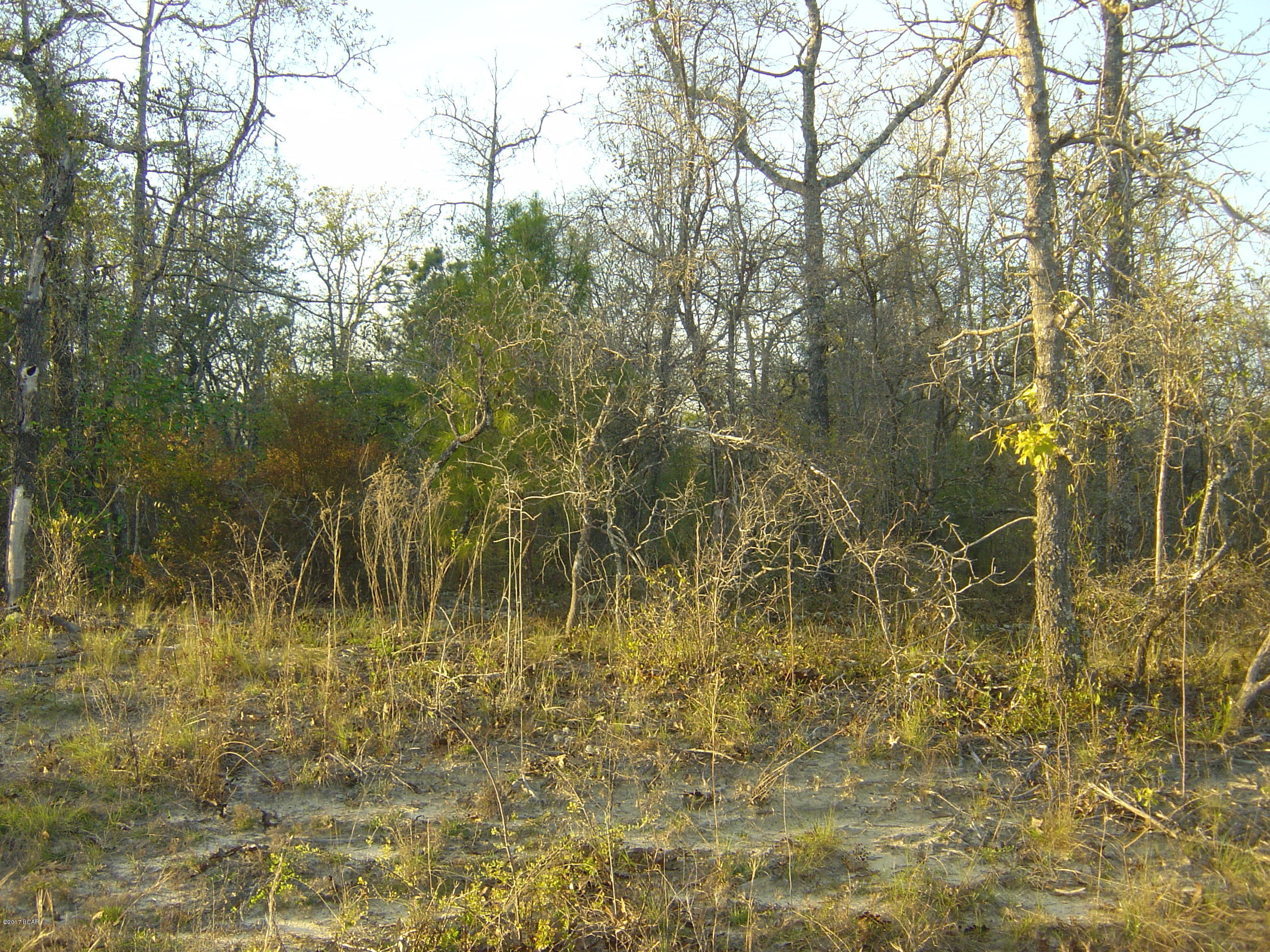 Compass Lake Hills Unit 5 - Land