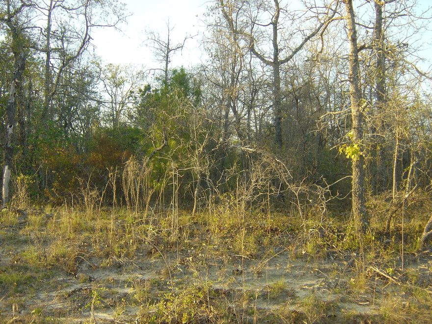 Excellent compass lake in the hills lot in a great section just off of Edison a partical paved rd. All the amenities of CLH including pool, beach, fishing and tennis cts are included.  Great level lot for building or for just enjoying the amenities.