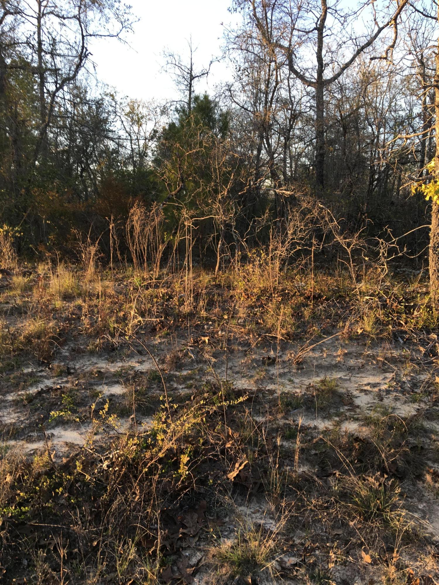 Compass Lake Hills Unit 5 - Land