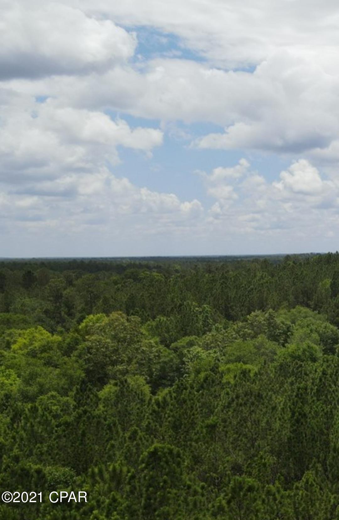 Reedy Creek - Land