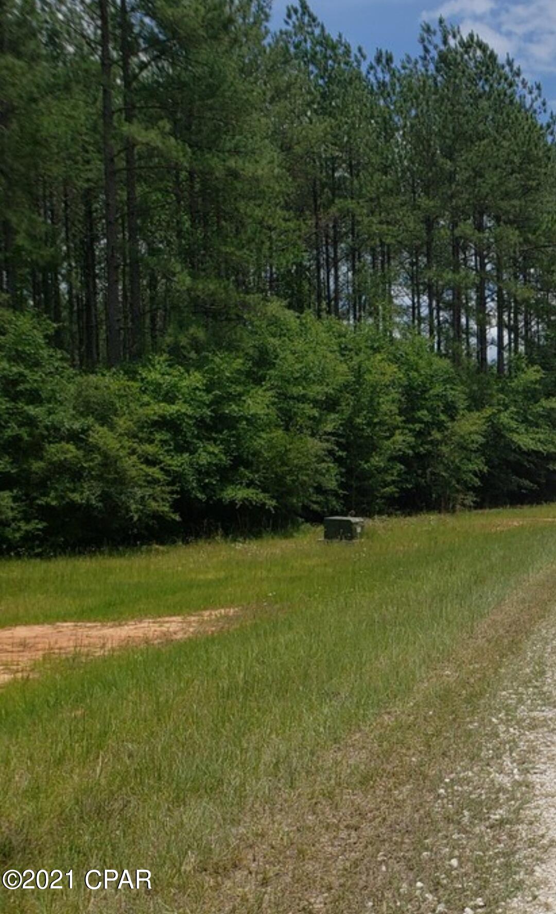 Reedy Creek - Land
