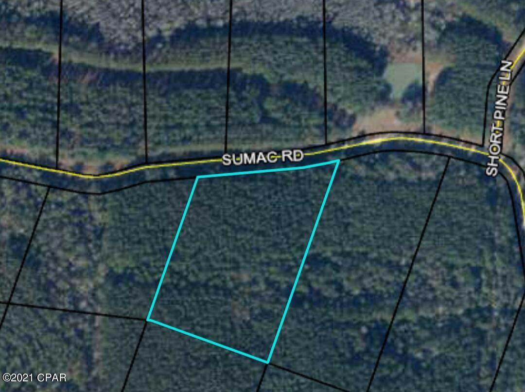 Reedy Creek - Land