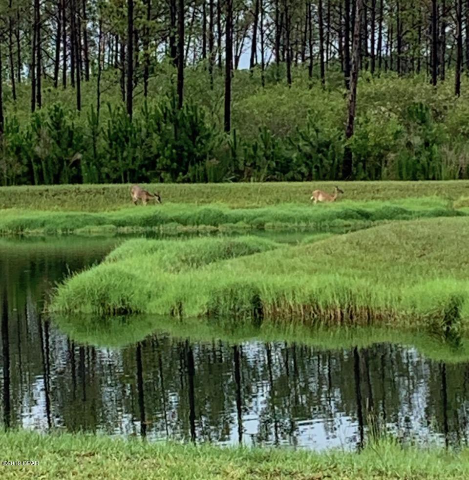 Breakfast Point - Residential