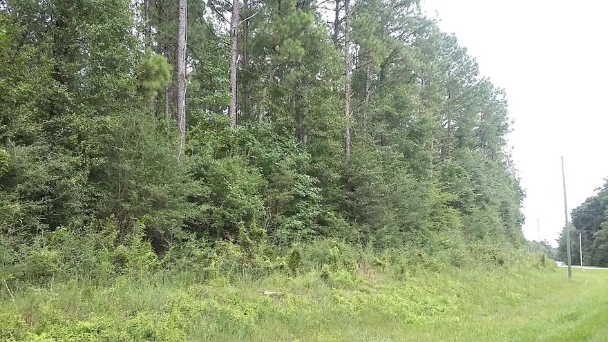 40 unrestricted acres on the East side of 179A is naturally wooded with lots of mature oaks, pines, magnolias, sycamores and cedar trees. 2017 survey provided by sellers! Appx. 1530' paved highway frontage and within 3 miles of Hwy 90. Nice, wooded land offers privacy in the country for your dream home (or mobile home)! Would also make a great hunting or investment property. Good hunting and fishing in this area, plus no state income taxes in Florida! Convenient to 30A Beaches, Destin, Freeport, DeFuniak Springs, and Bonifay.