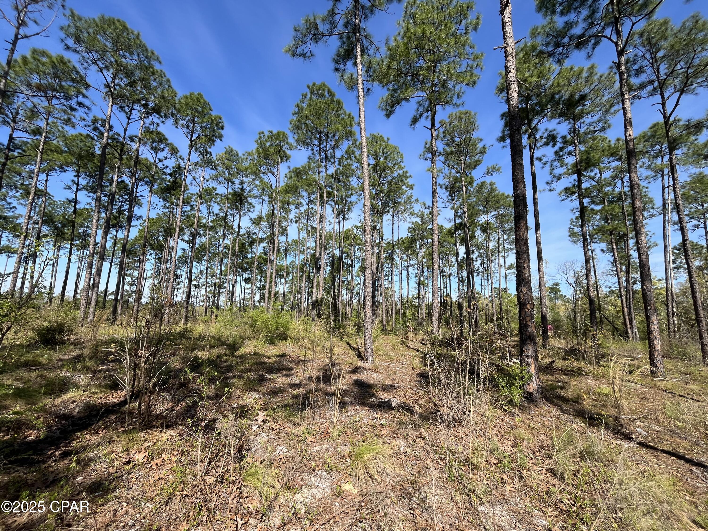 [No Recorded Subdiv] - Land