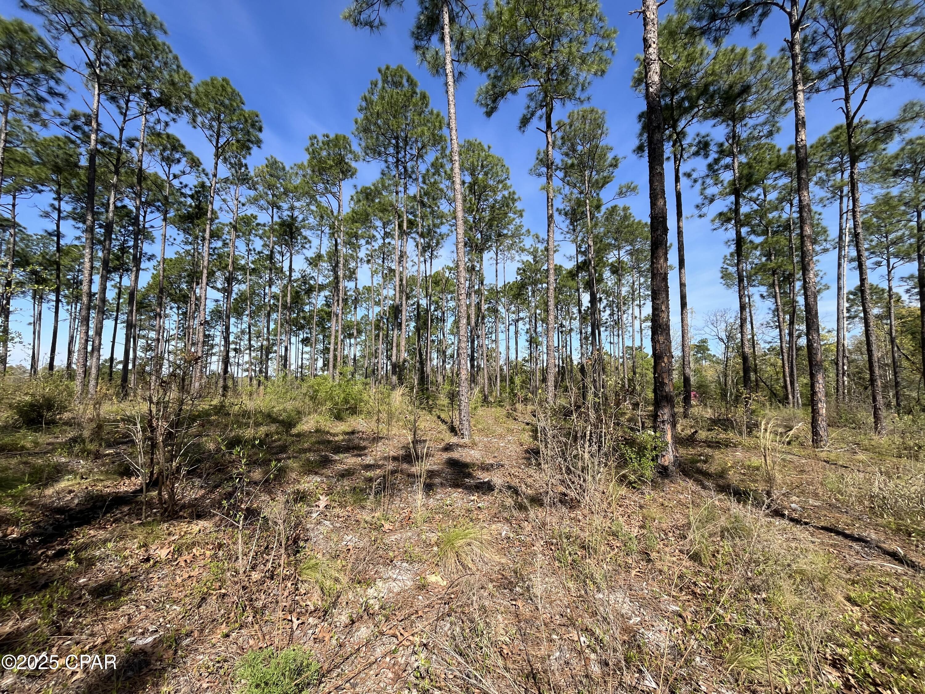 [No Recorded Subdiv] - Land