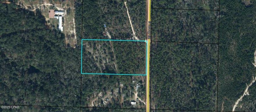 Discover the perfect piece of land located at one of the highest elevations in the state of Florida! This 4.79-acre property offers exceptional topography with portions reaching 265 feet in elevation, providing a unique feel of northern Florida that only some get to experience. Known for its high and dry terrain, this property is ideal for your dream homestead, offering plenty of space, privacy, and natural beauty.

The land is adorned with towering Florida pines, creating a serene and picturesque setting. Previously mulched, the property is clear of thick brush, making it easy to navigate and ready for development. With a gentle slope toward the back and ample level ground, you'll have multiple possibilities for building your perfect home, barn, or bringing in a manufactured home. With this unrestricted land, the choice is yours!

A boundary survey has already been completed, establishing your property corners and saving you money. Located just 15 minutes from Chipley, minutes south of Wausau, and less than an hour from the stunning Panama City Beach, you'll enjoy the peace and quiet of country living without sacrificing convenience.