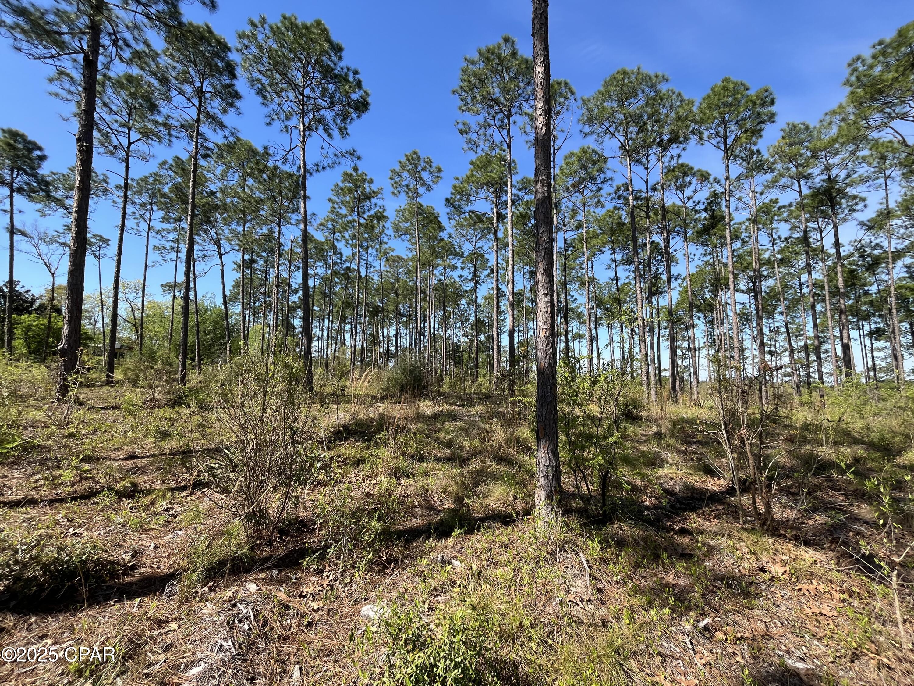 [No Recorded Subdiv] - Land