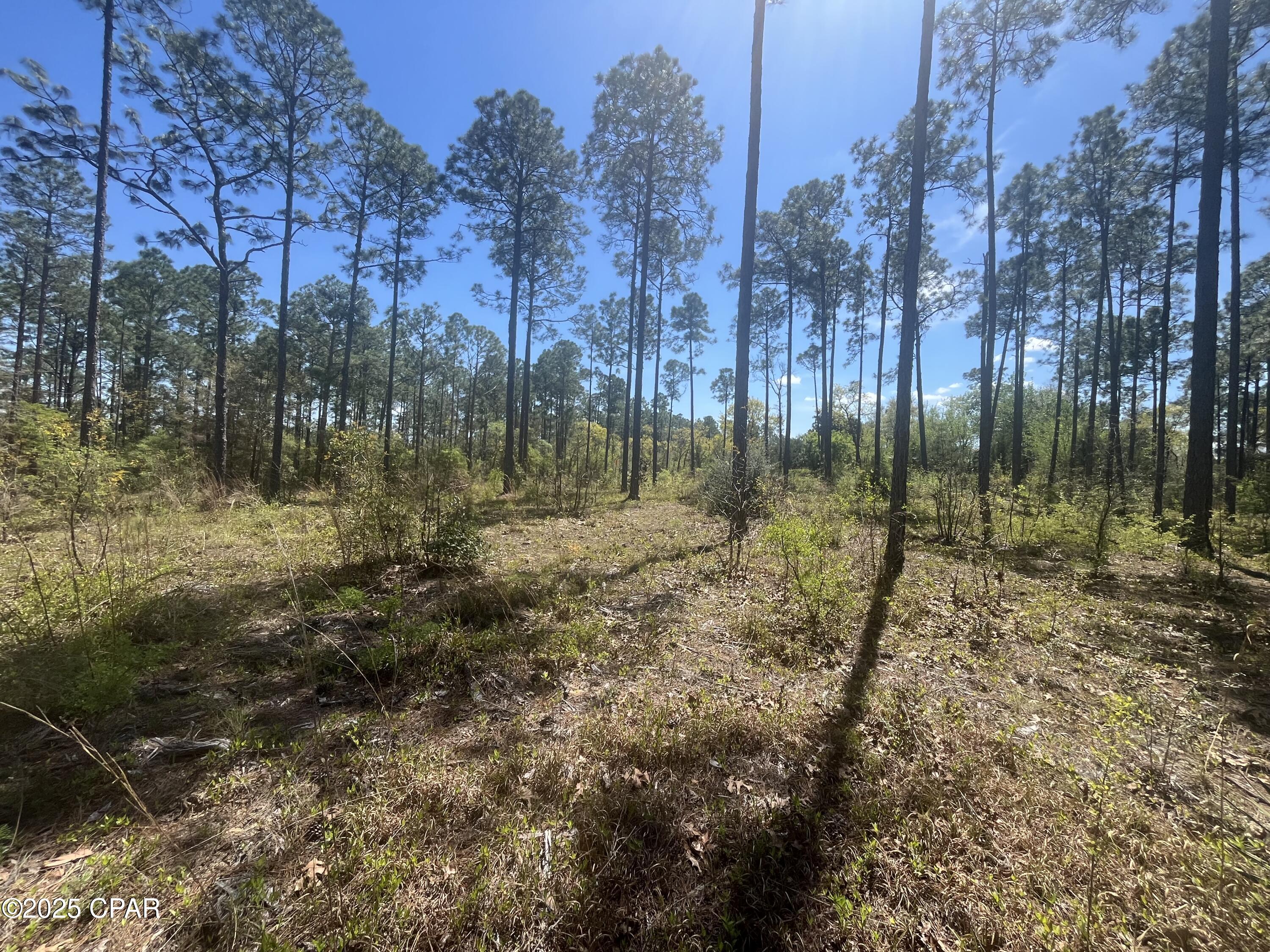 [No Recorded Subdiv] - Land