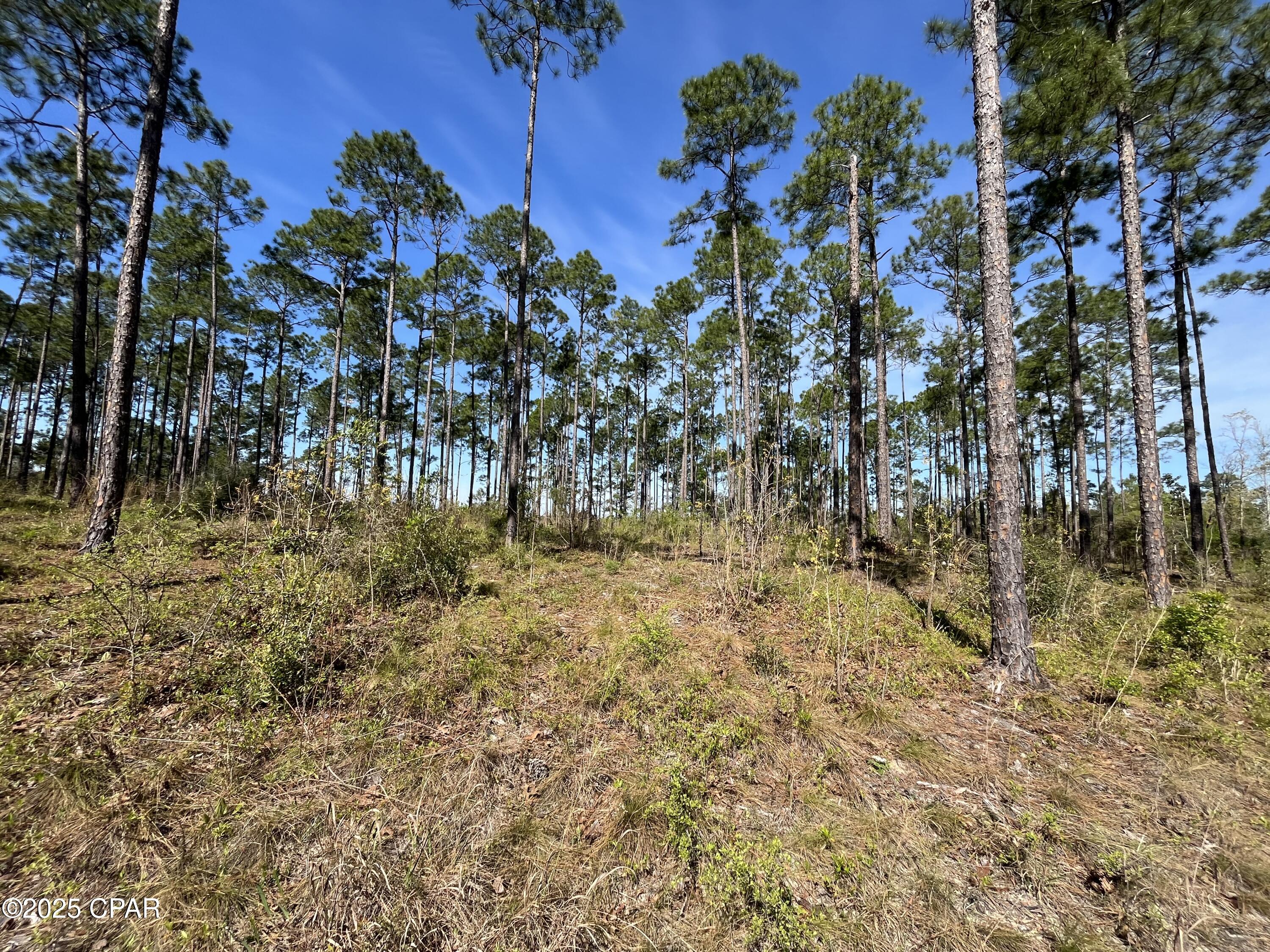 [No Recorded Subdiv] - Land