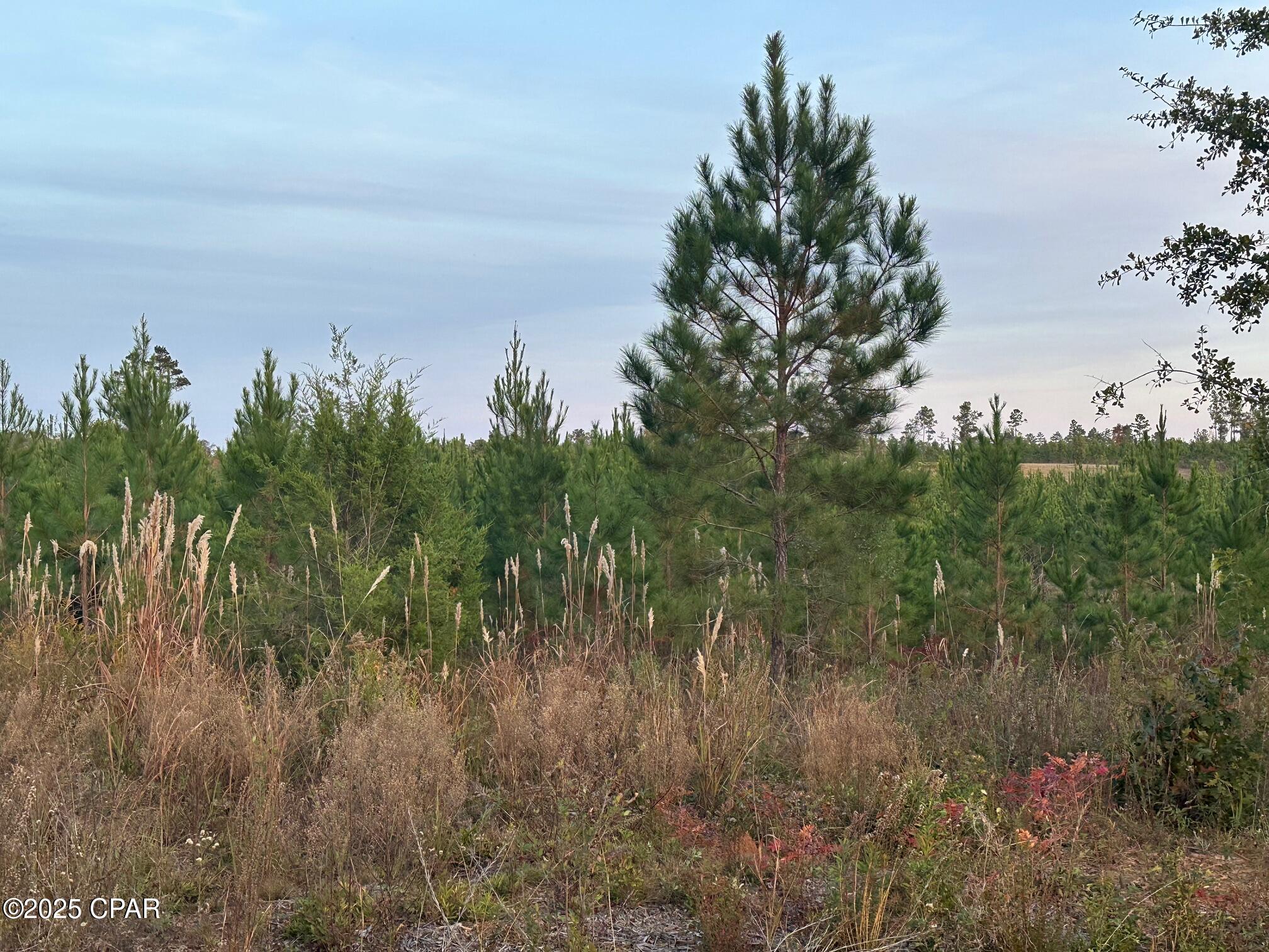 [No Recorded Subdiv] - Land